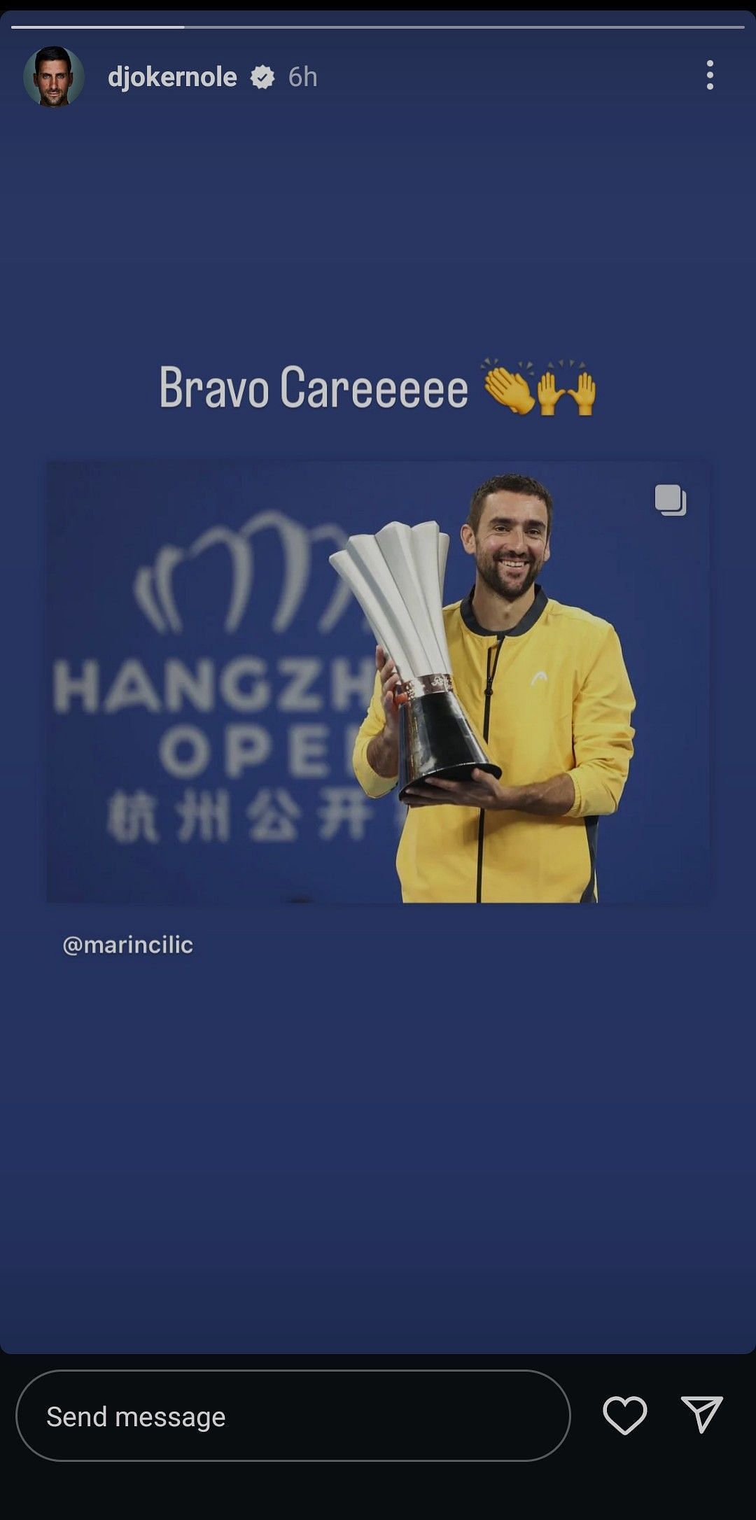 Screenshot of Novak Djokovic&#039;s Instagram story (Image via: Djokovic Instagram handle)