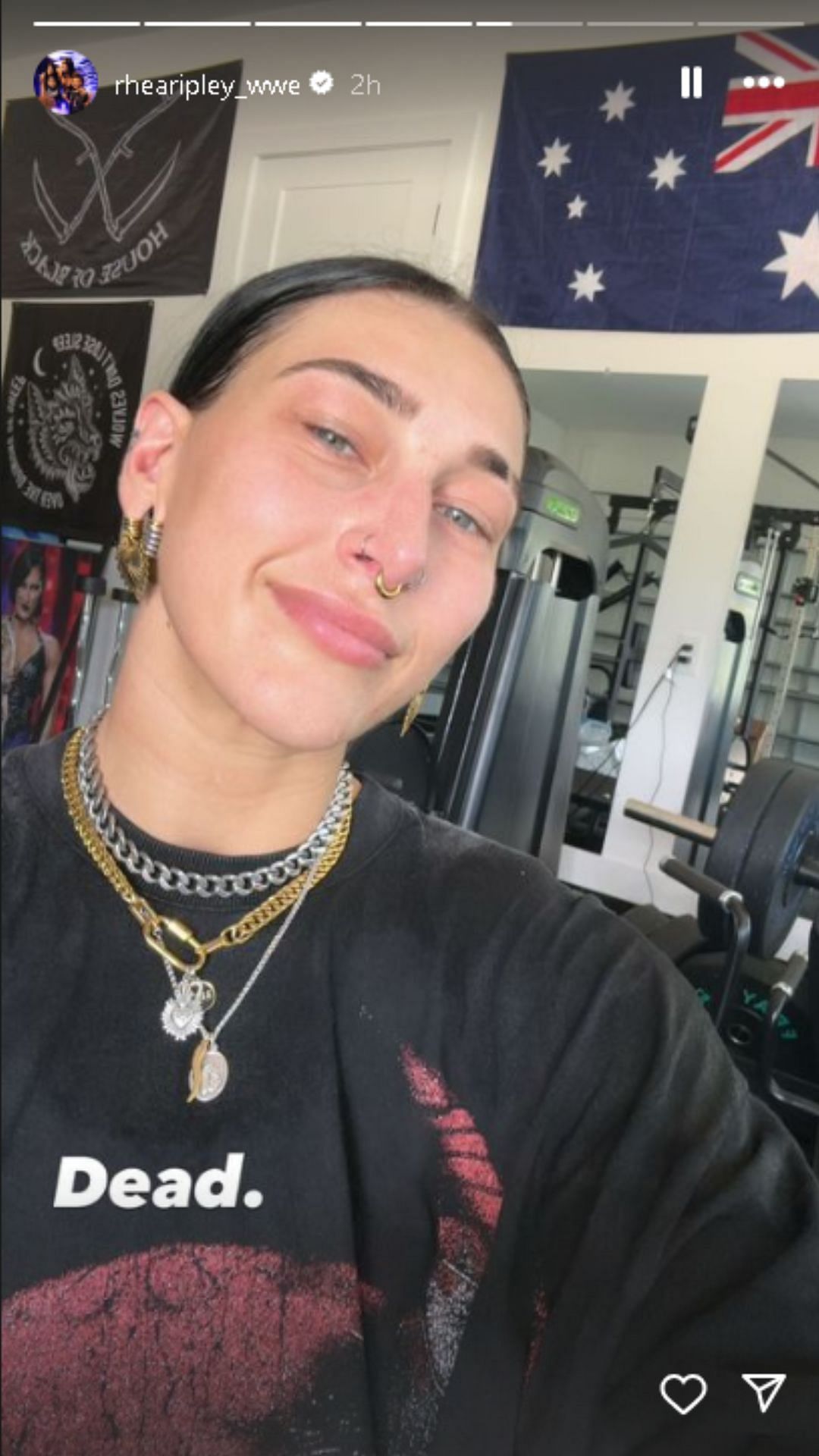 A screengrab of the Instagram Story.