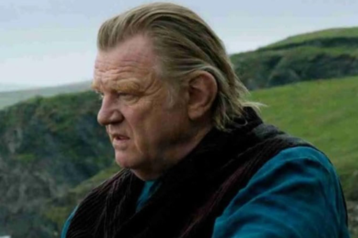 Brendan Gleeson is set to star in Spider-Noir (Image via IMDB)