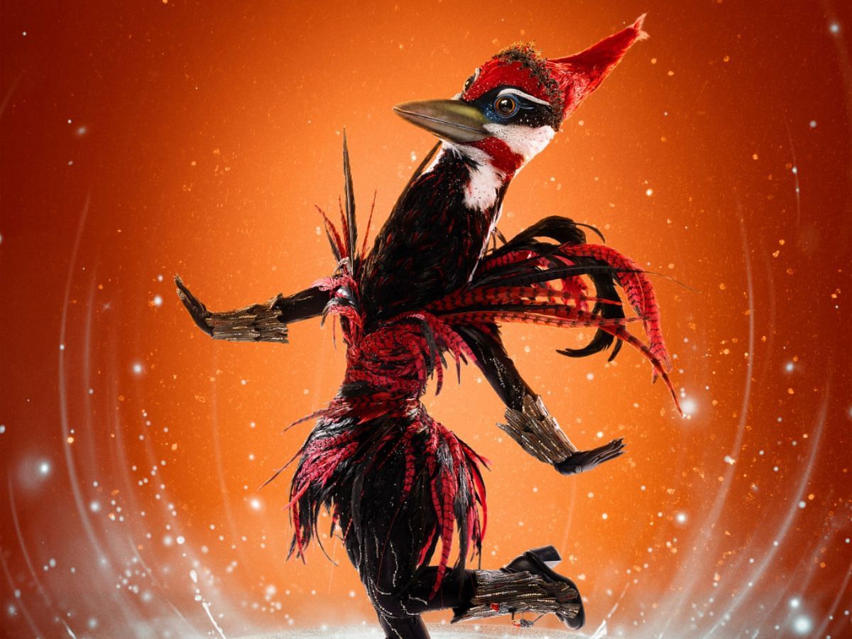 Woodpecker of The Masked Singer season 12 (Image via FOX)