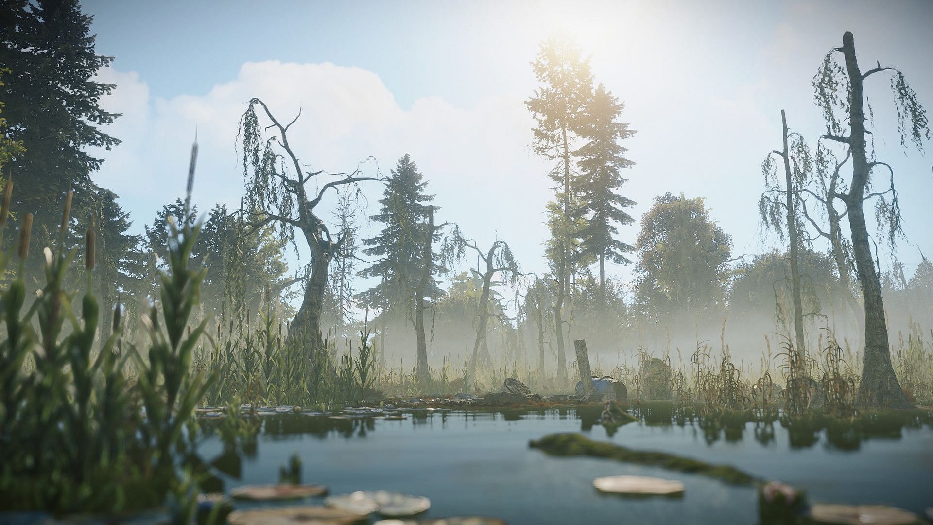 Swamps is an ideal base location for solo players (Image via Facepunch Studios)