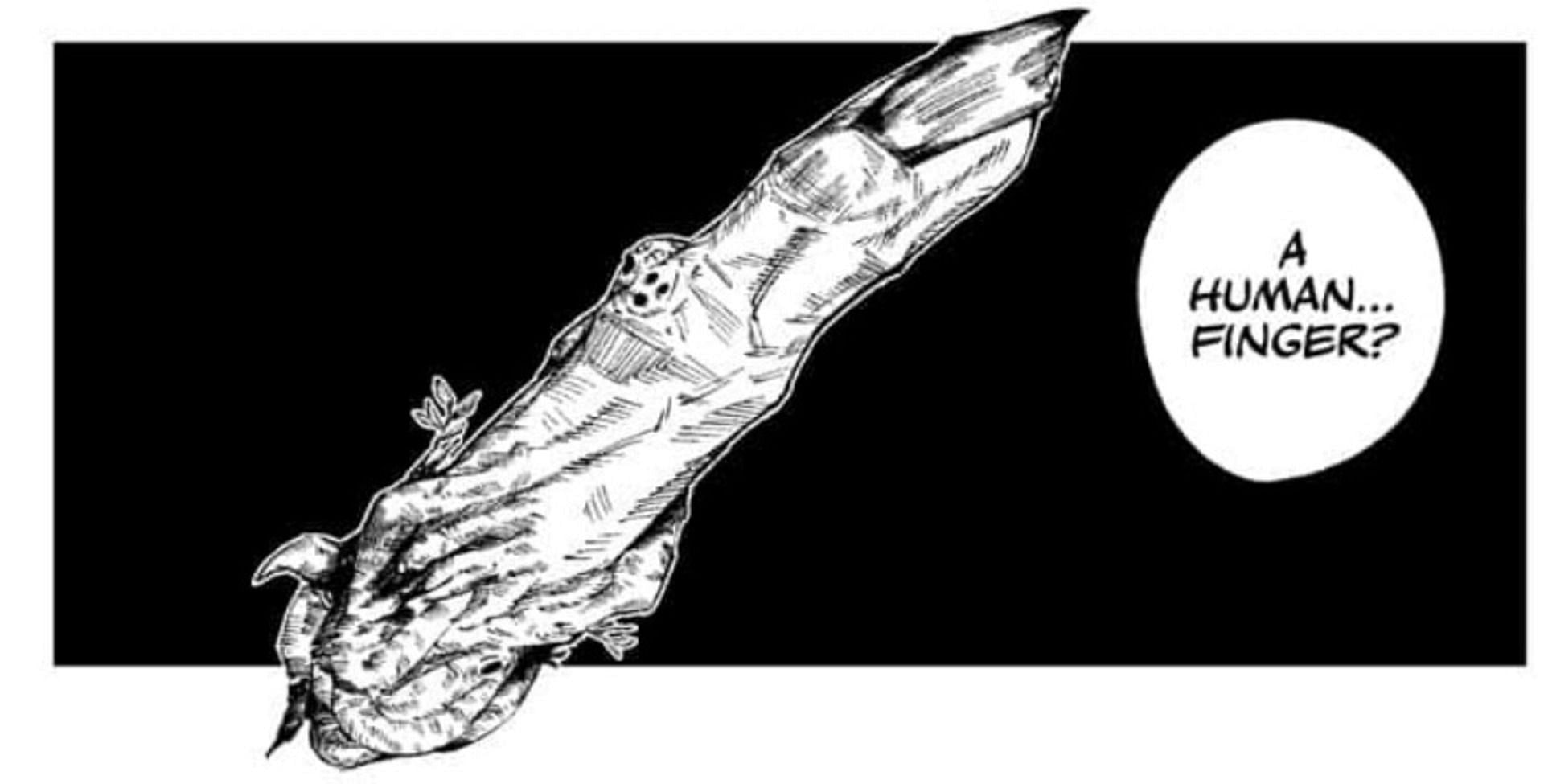 Ryomen Sukuna&#039;s finger (Image via Gege Akutami, Shueisha)