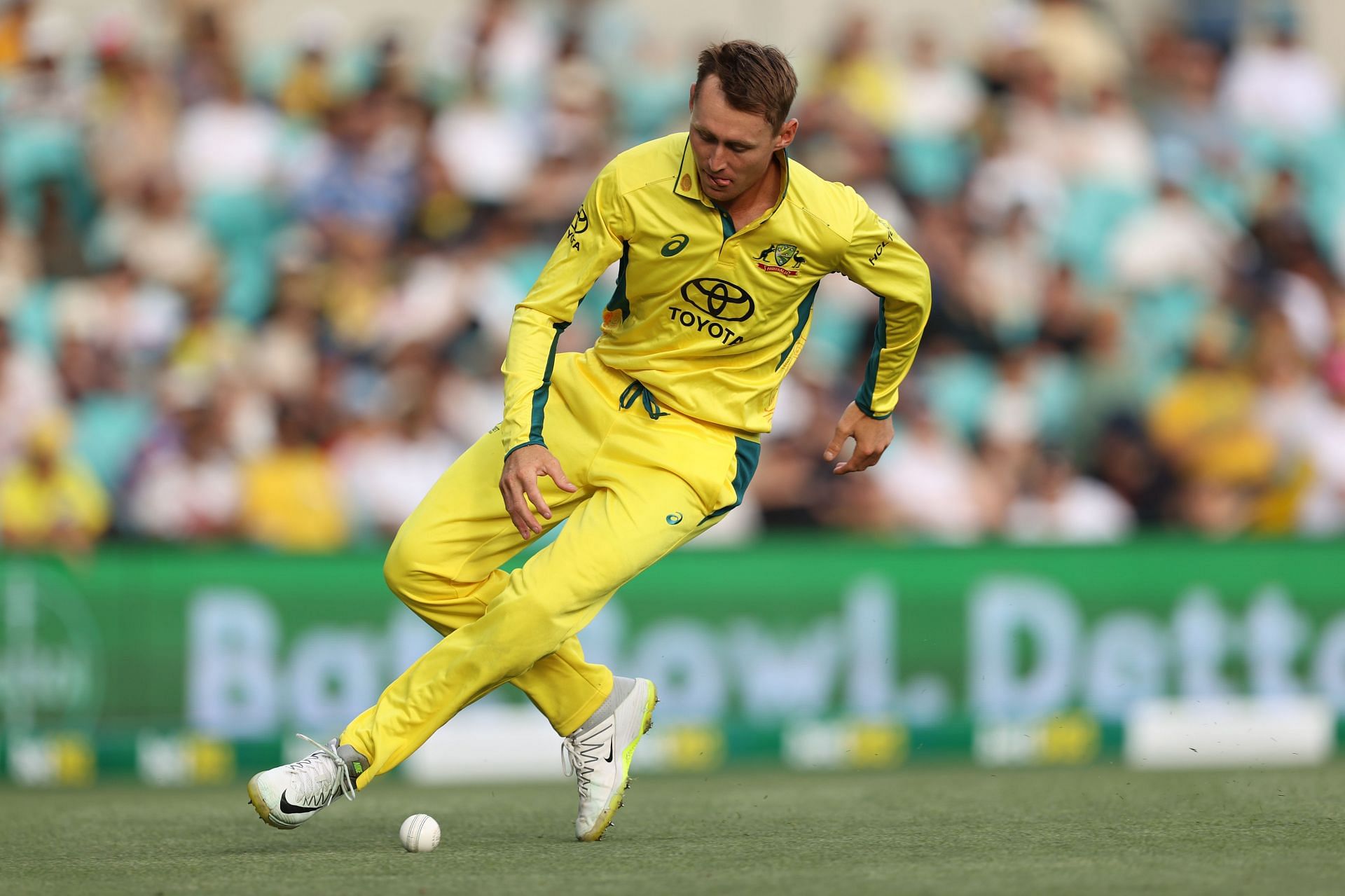 Australia v West Indies - Men