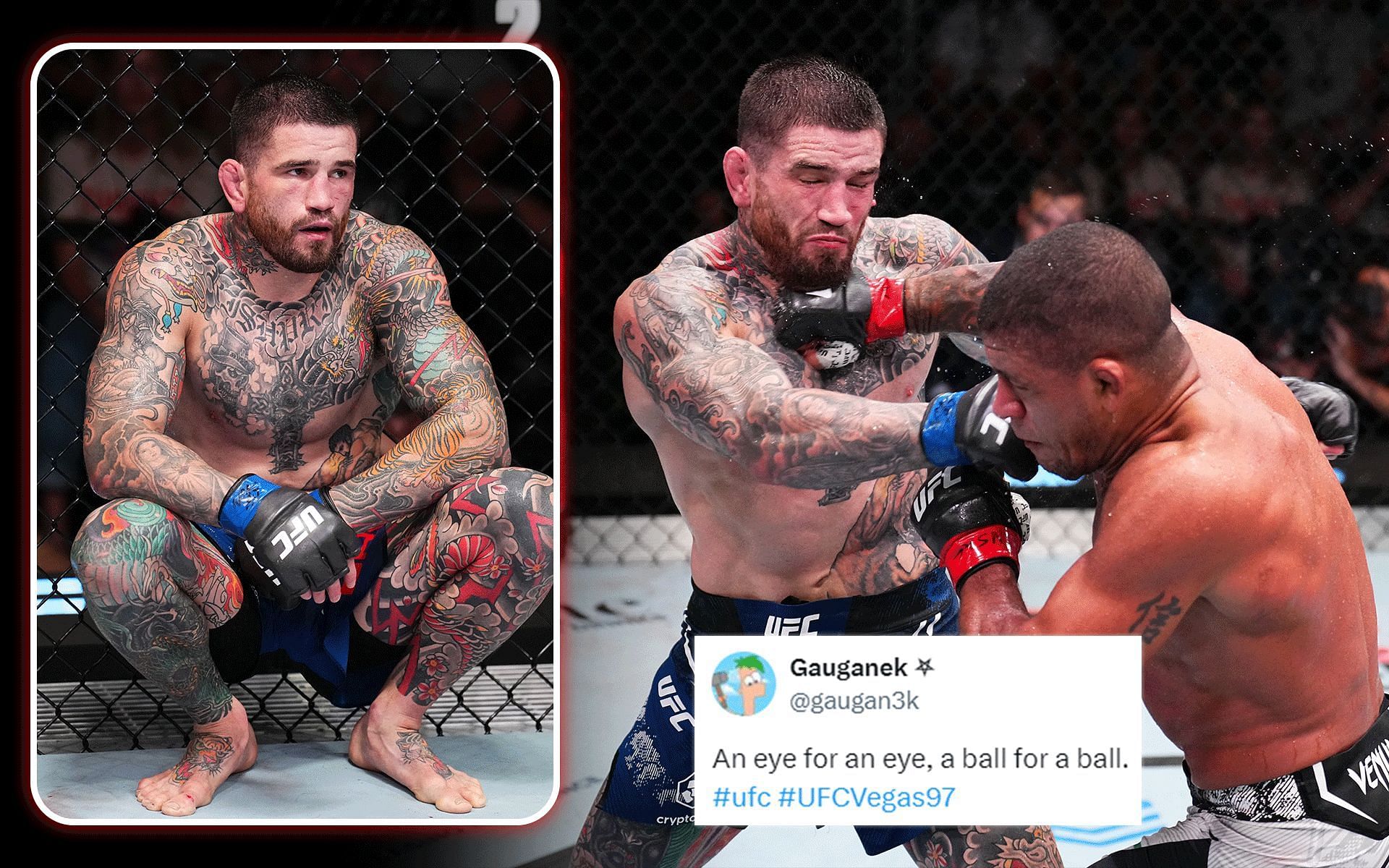 Fans react to a brief sequence from the Gilbert Burns vs. Sean Brady fight [Images courtesy: Getty]