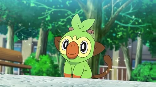 Grookey in the anime (Image via TPC)