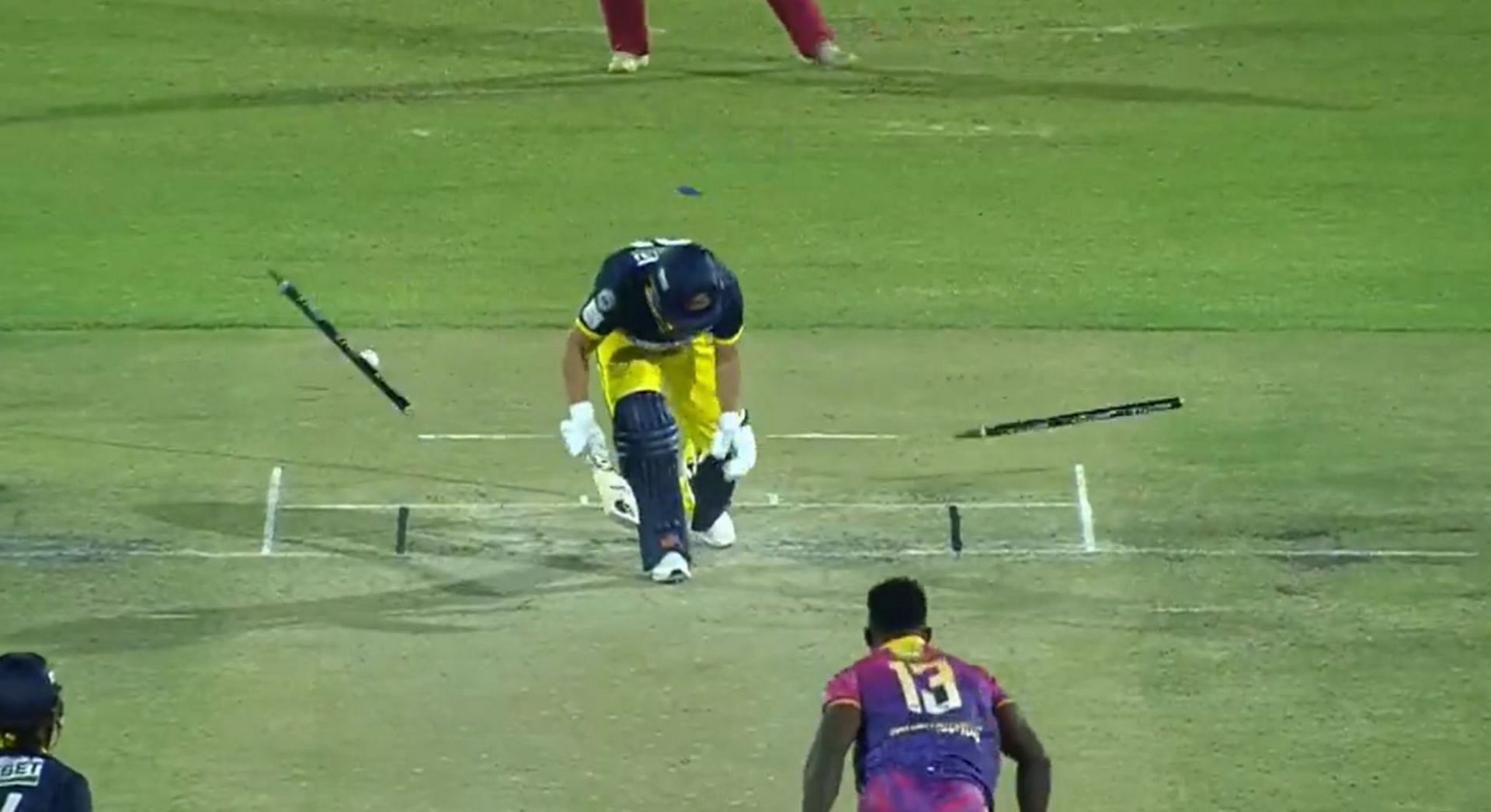 David Warner