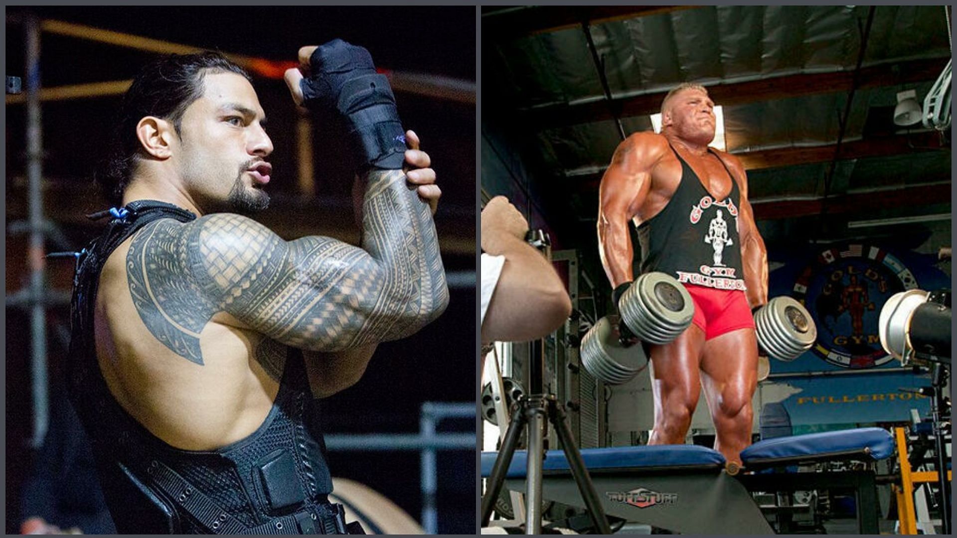 Roman Reigns and Brock Lesnar (Photo credit: WWE.com)