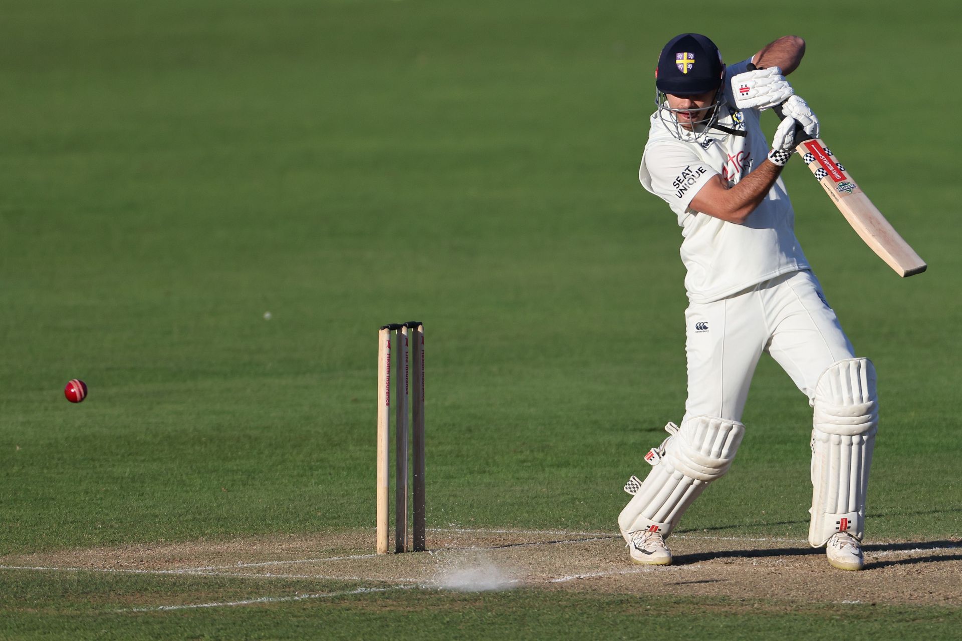 [WATCH] A dog enters the field & stops play during Durham vs Kent 2024 County Championship game