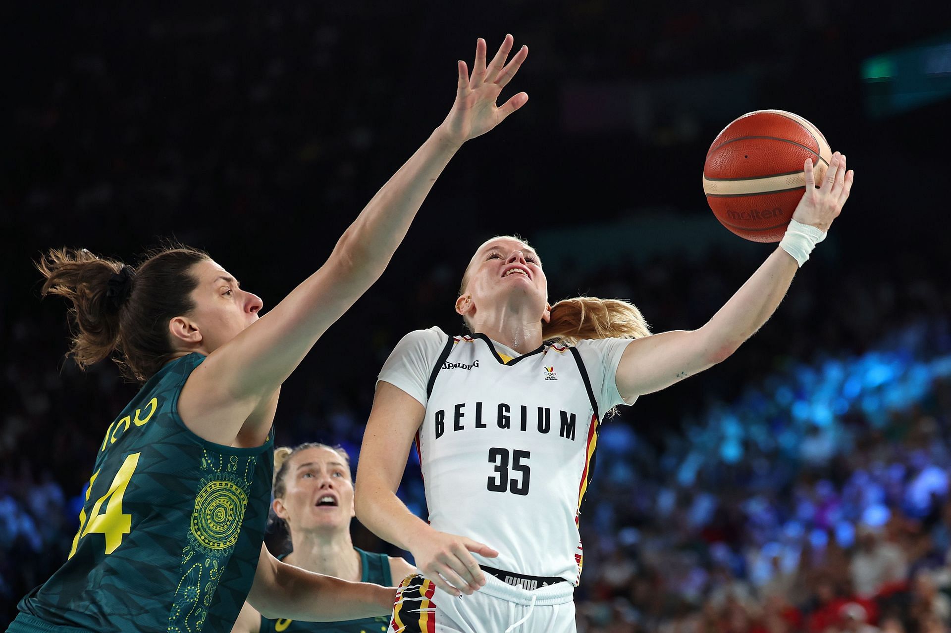 Julie Vanloo&rsquo;s Wingspan