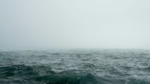 What is the meaning of dry drowning? Autopsies of victims who died on billionaire Mike Lynch's yacht released