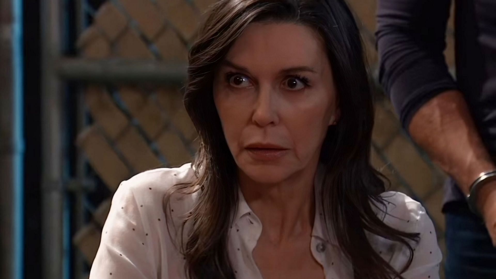 What happened to Anna Devane on General Hospital? Explained