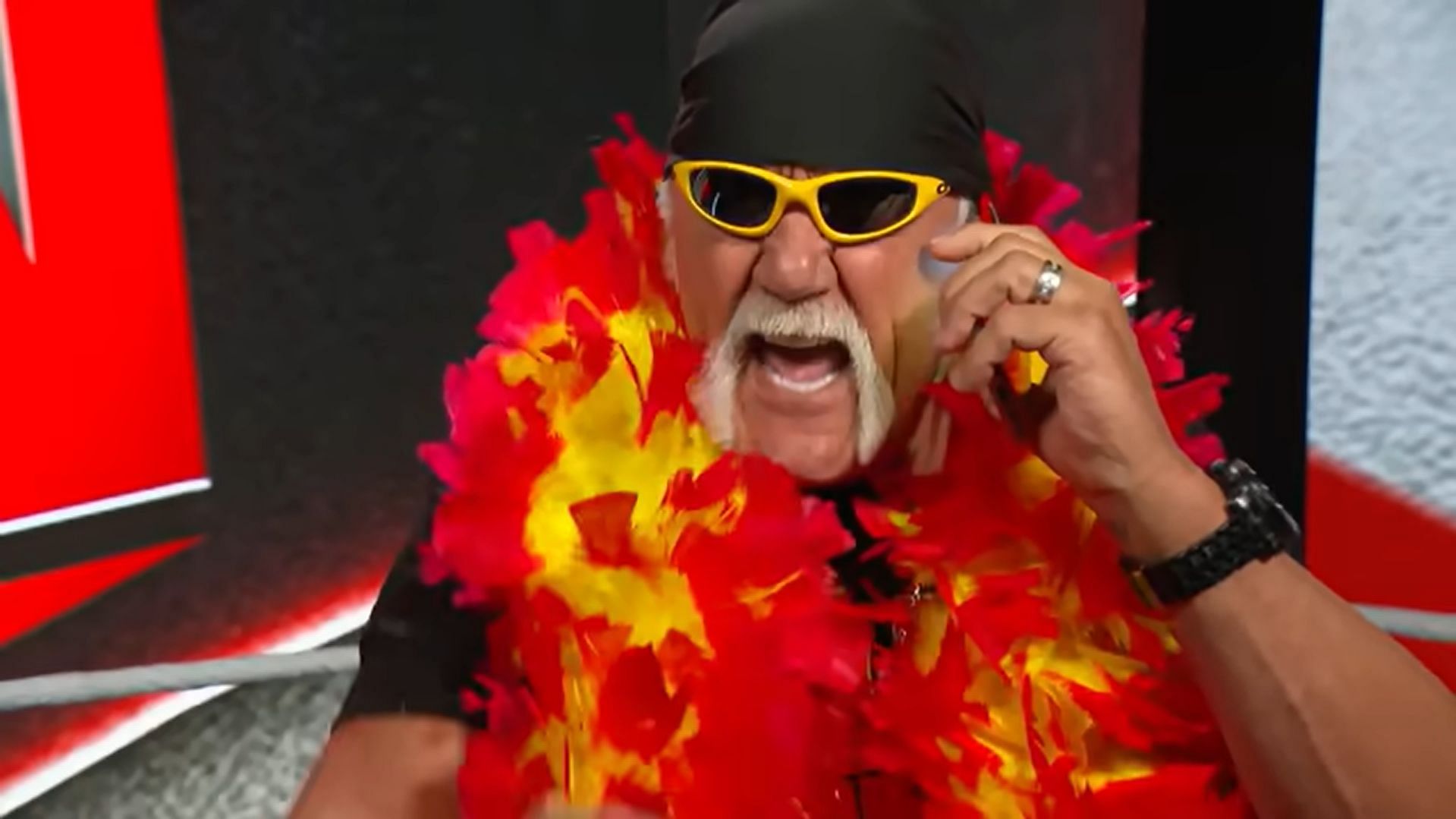Hulk Hogan on WWE TV (via WWE