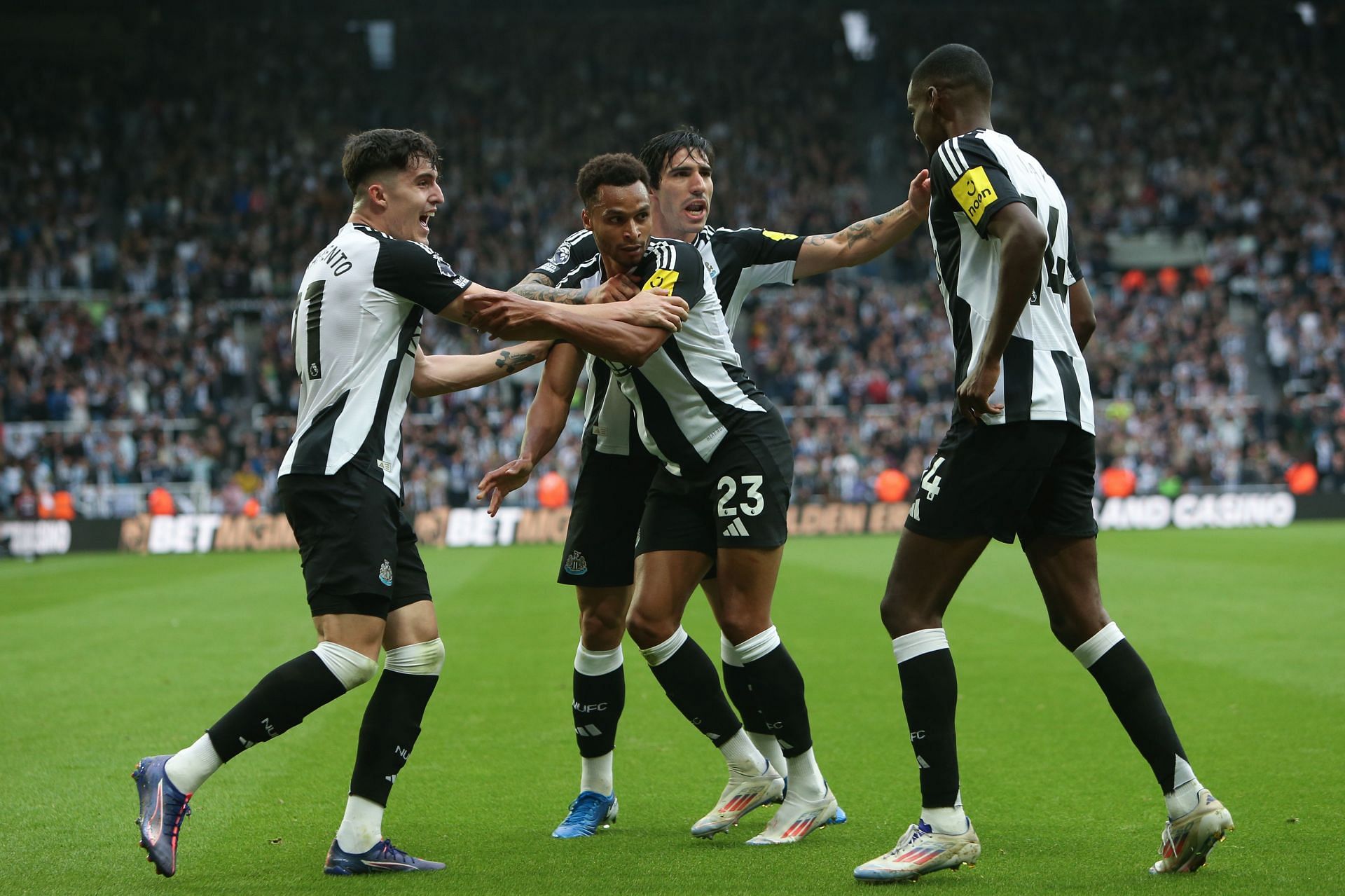 Newcastle United FC v Tottenham Hotspur FC - Premier League - Source: Getty