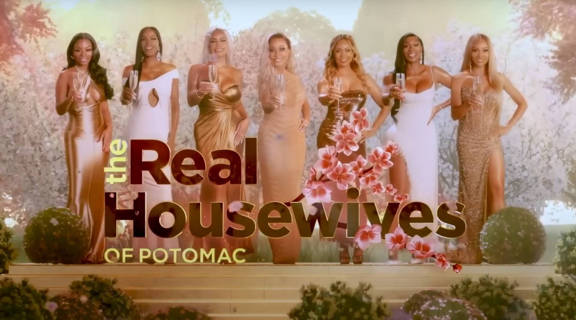 Real Housewives of Potomac season 9 (image via YouTube\Bravo)