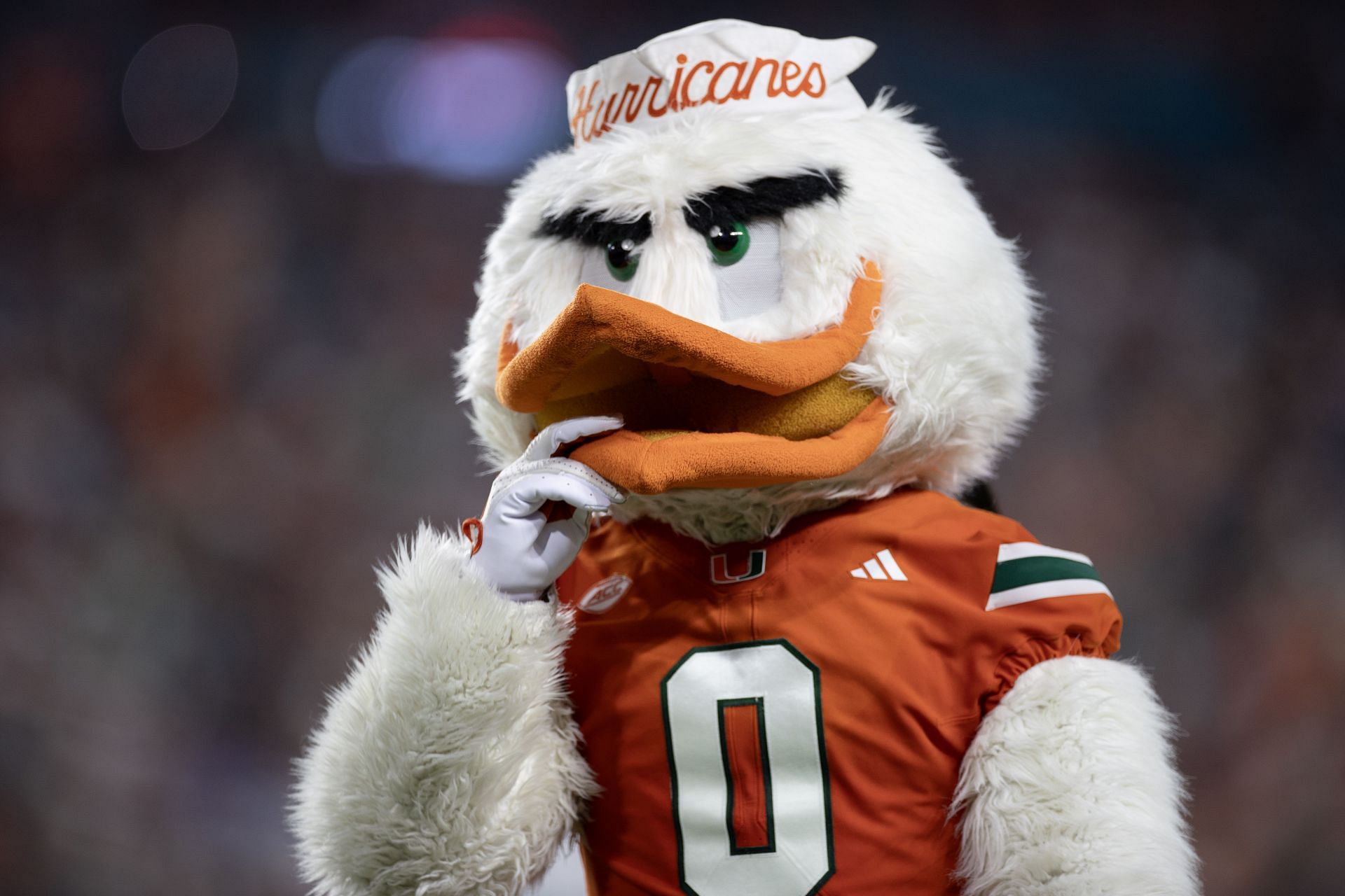 Virginia Tech v Miami - Source: Getty