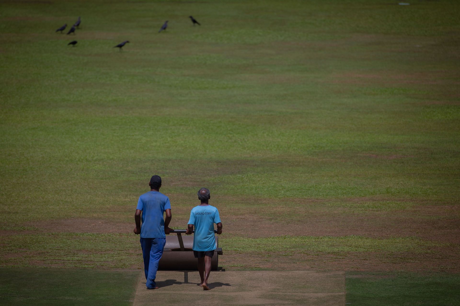 Sri Lanka v New Zealand - One Day International Series: Game 1 - Source: Getty