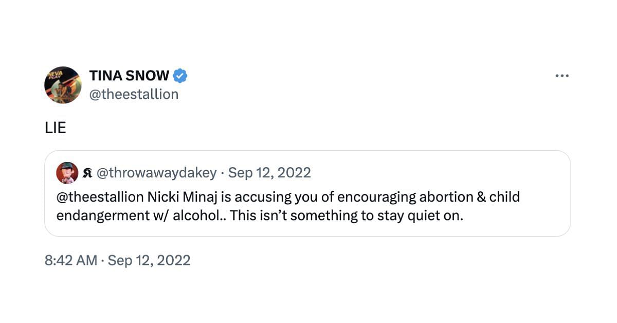 Screenshot of Megan denying Minaj&#039;s accusations (Screenshot via X/@theestallion)