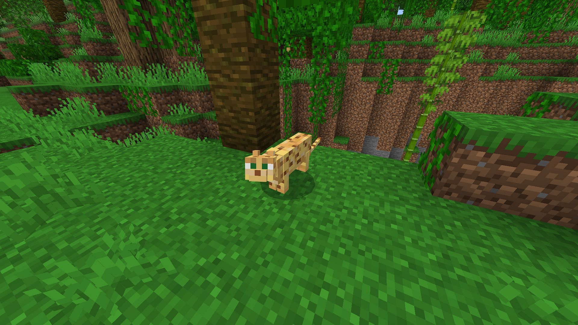 Gaining the trust of an ocelot is an achievement (Image via Mojang Studios)