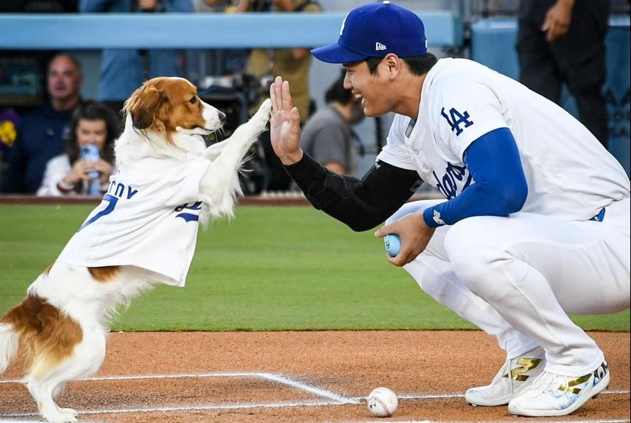 Shohei Ohtani Height Discover About Shohei Ohtani Weight And Age shohei-ohtani-height-discover-about-shohei-ohtani-weight-and-age