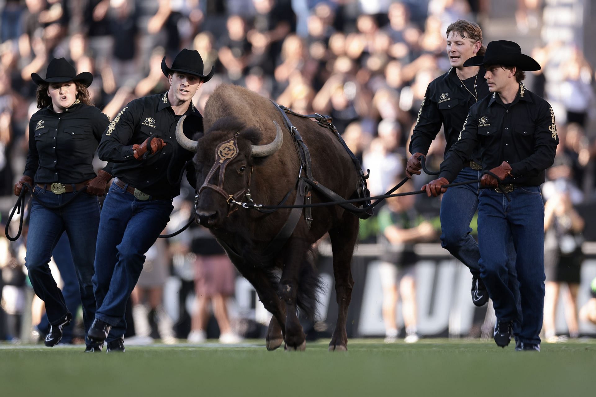 North Dakota State v Colorado