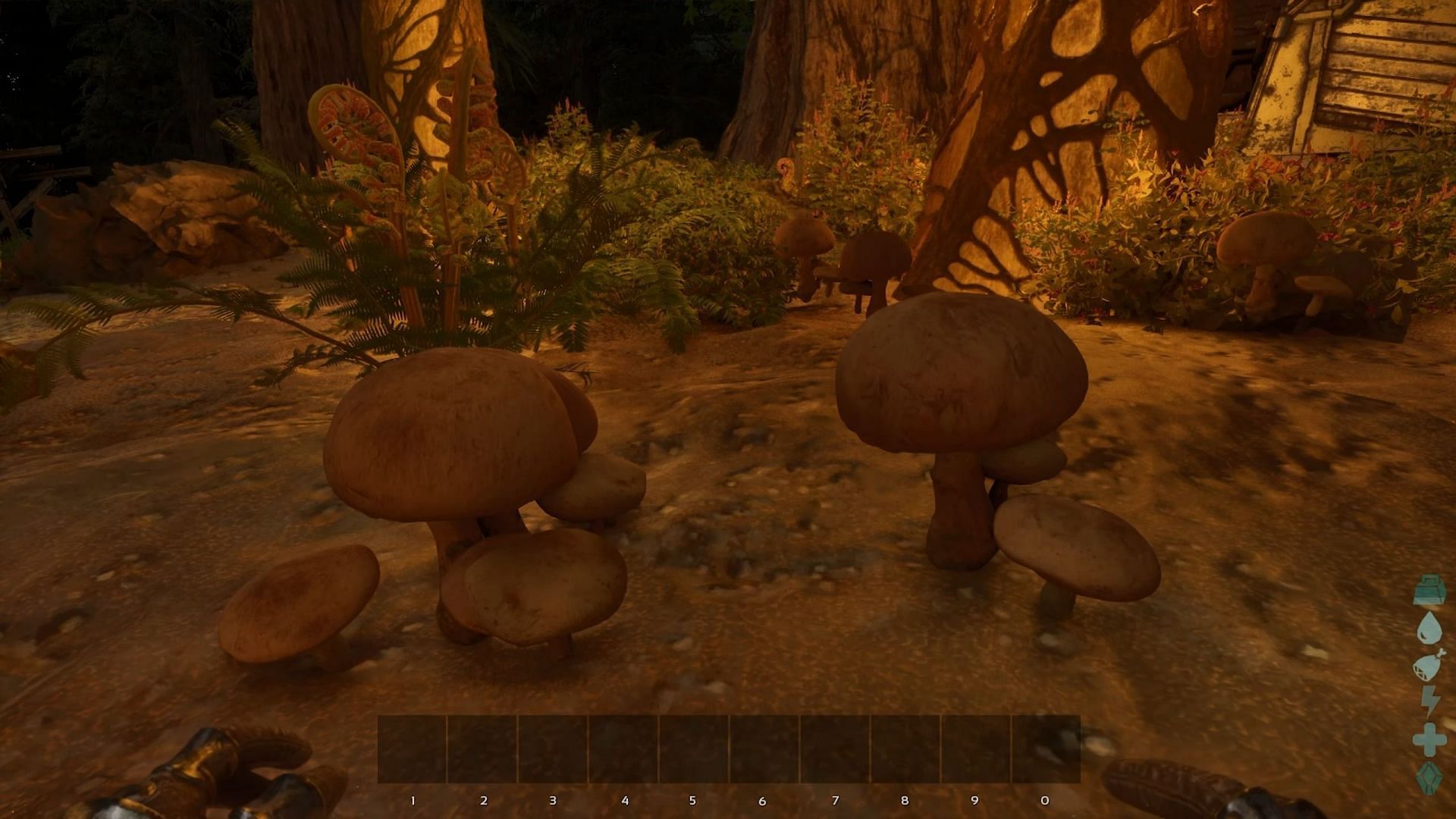 Gather the mushrooms from the ground (Image via Studio Wildcard)