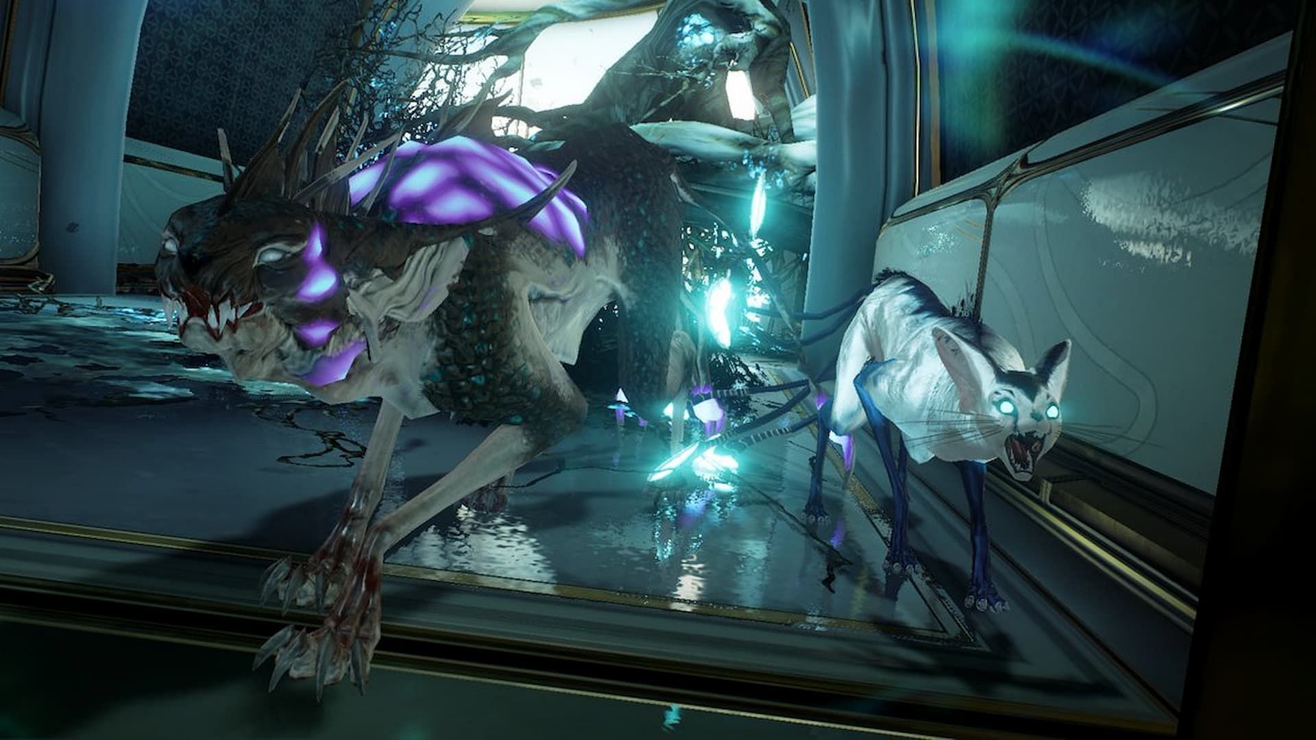 Explore new beast weapons Warframe Companion Rework 2.0