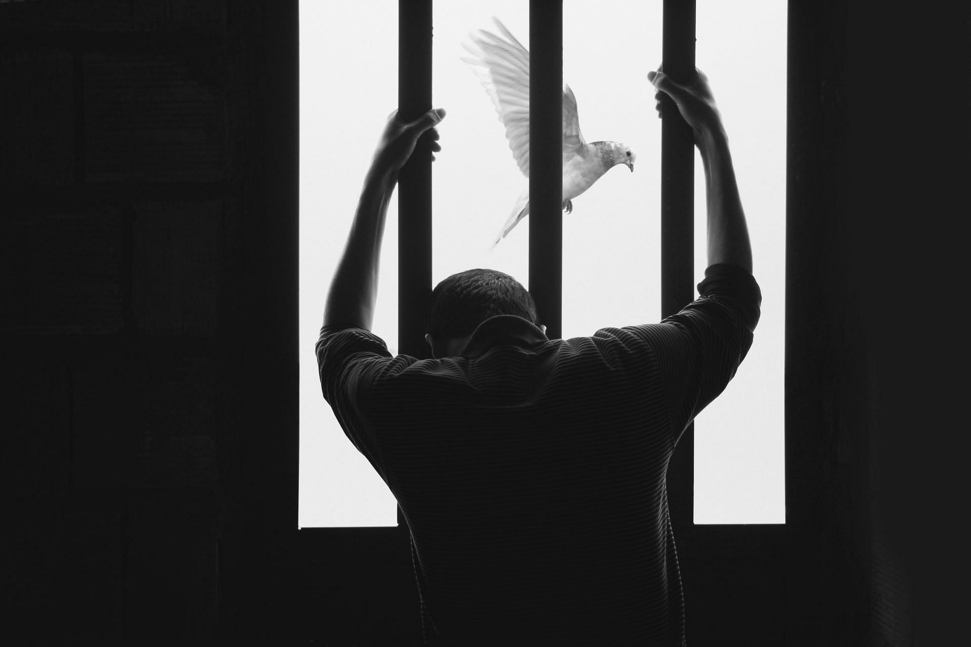 Eric and Lyle Menendez are in prison (Image by Hasan Almasi/Unsplash)