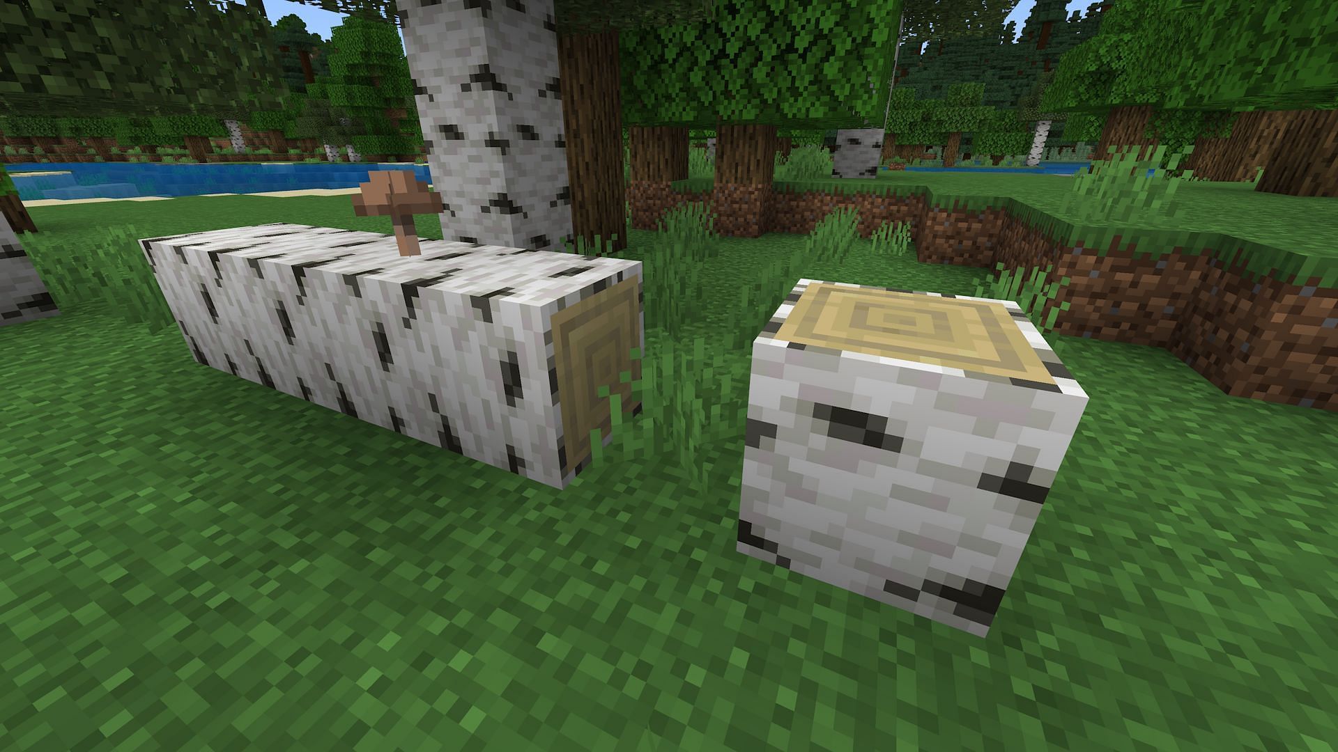 A fallen birch tree on Bedrock (Image via Mojang)