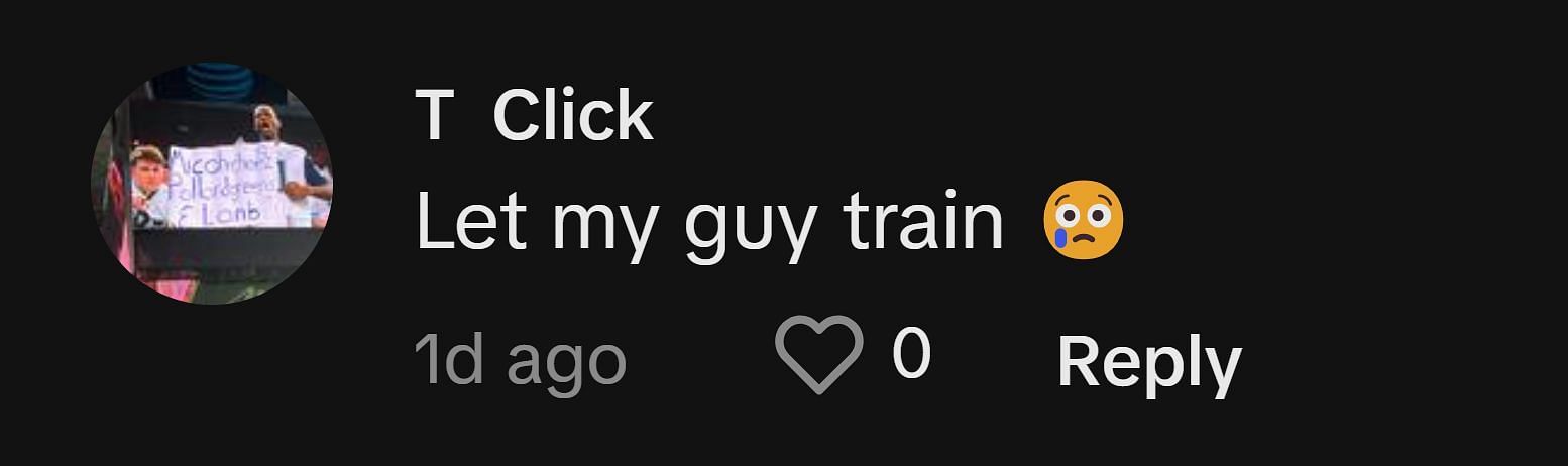 A fan comments on TikTok