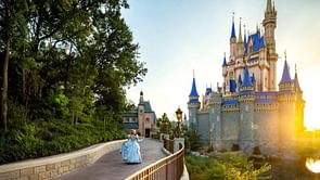 Was Disney World damaged by Hurricane Helene? Everything you need to know