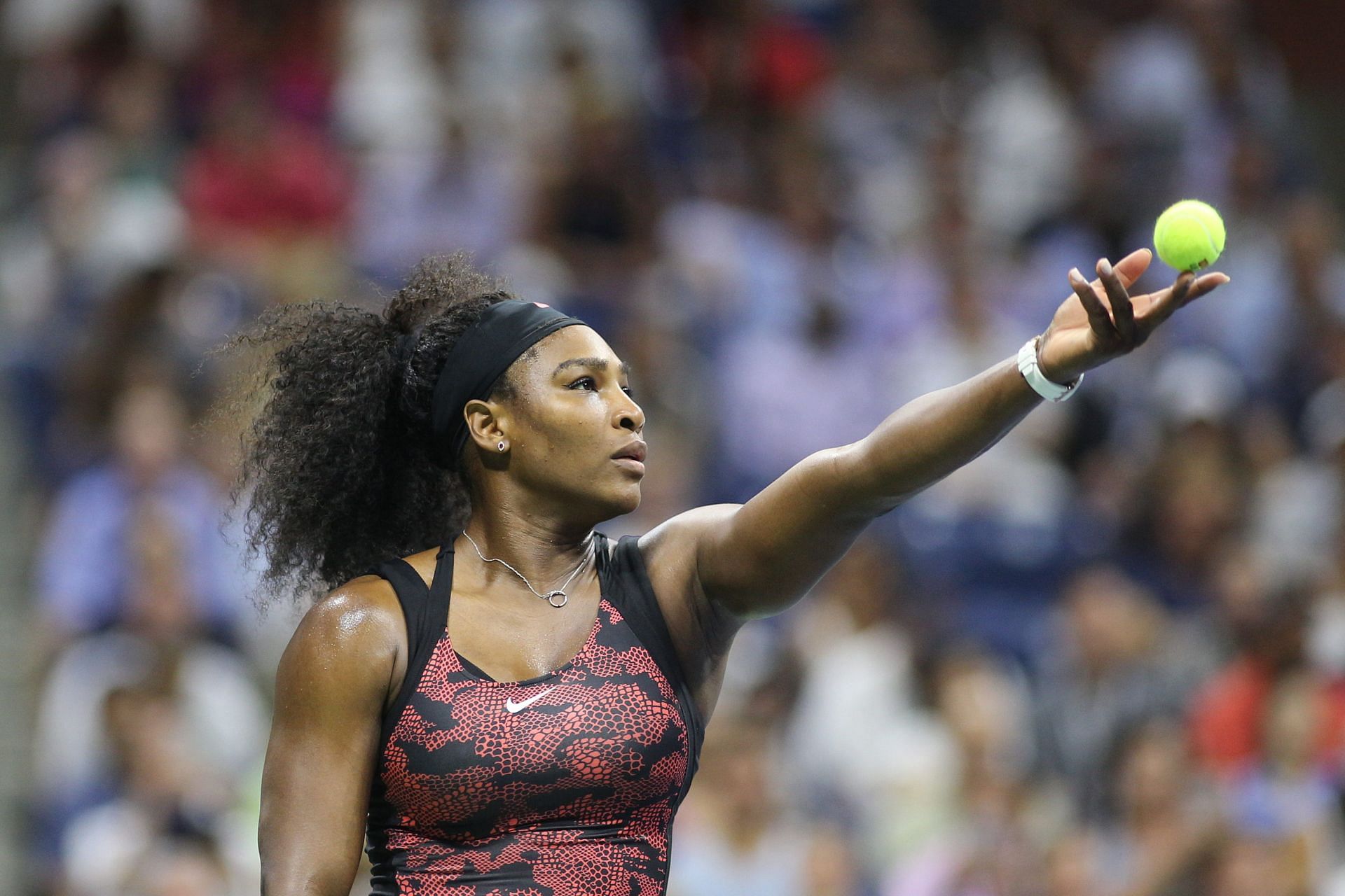 Serena Williams, USA, in action against her sister Venus Williams, USA, in the Women&#039;s Singles Quar - Source: Getty