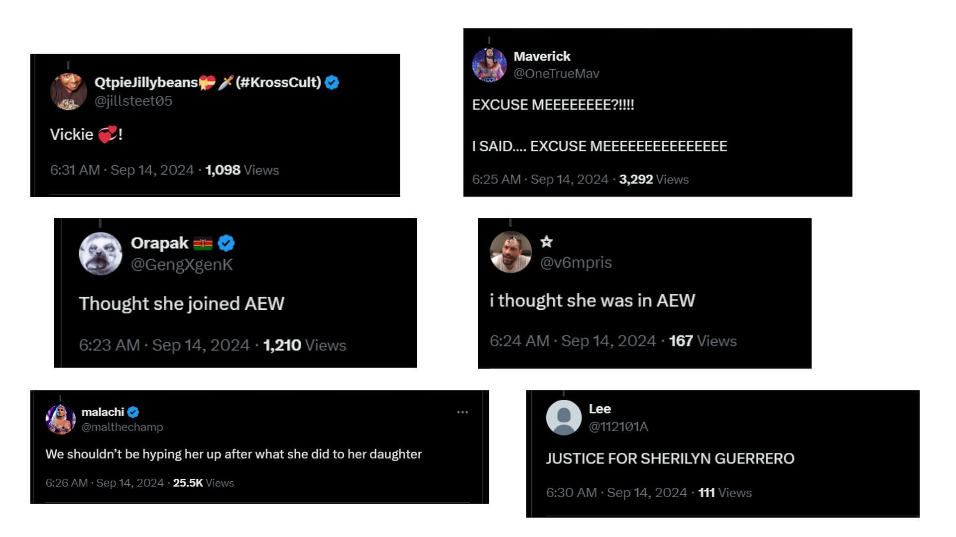 Wrestling fans&#039; reactions to Vickie Guerrero on WWE Smackdown [Image Credits: X/Twitter]