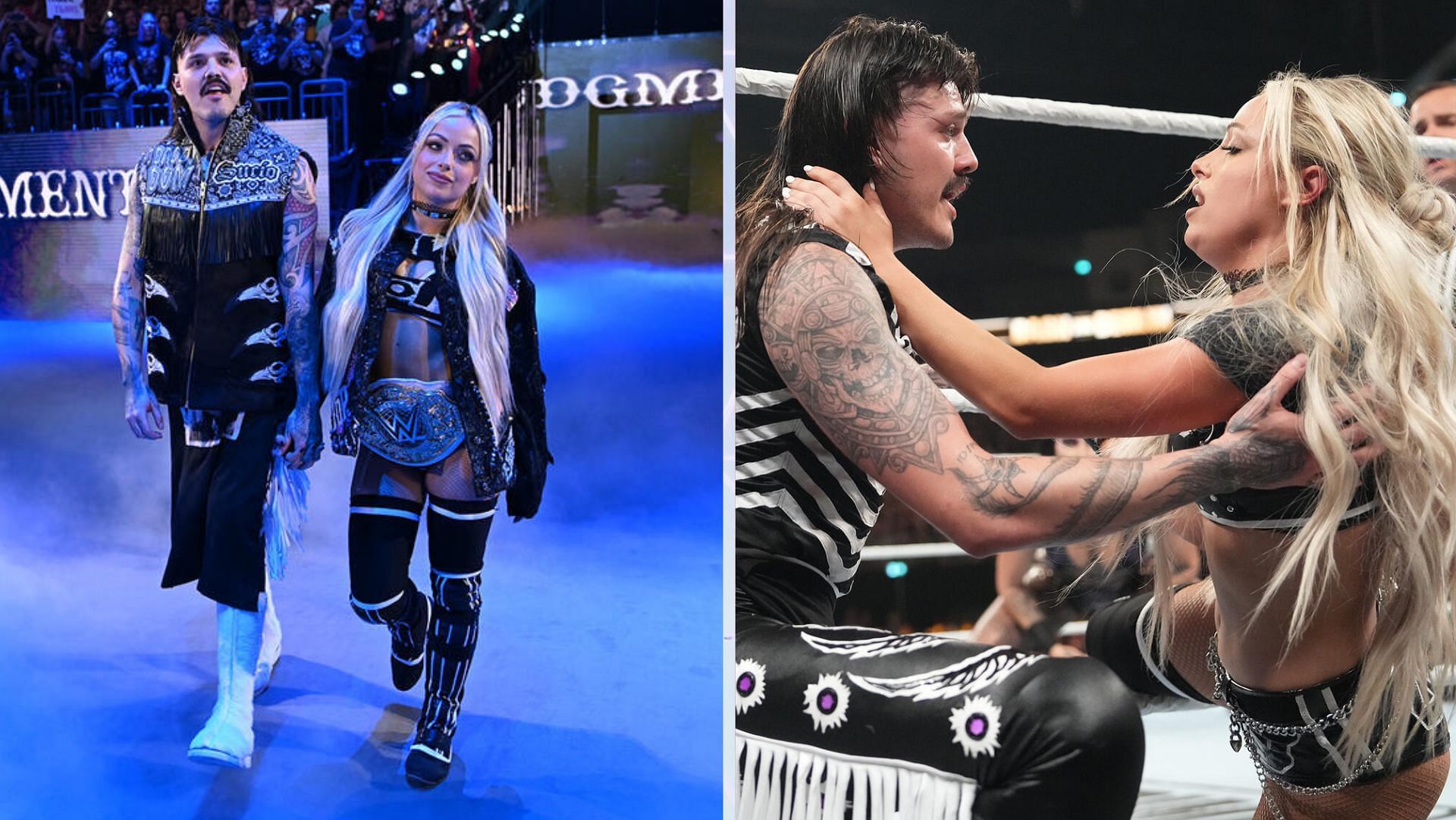 Dominik Mysterio chose Liv Morgan at SummerSlam 2024. [Images Source: WWE.com]
