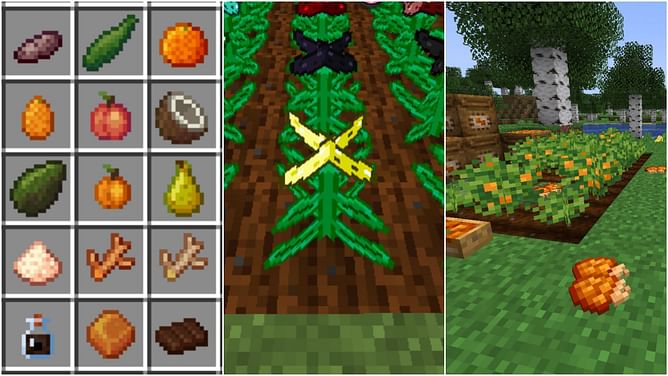 5 best Minecraft farming mods for new crops