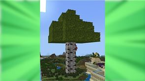 "Bro made Erdtree": Minecraft player builds a gigantic birch tree leaving the community amazed