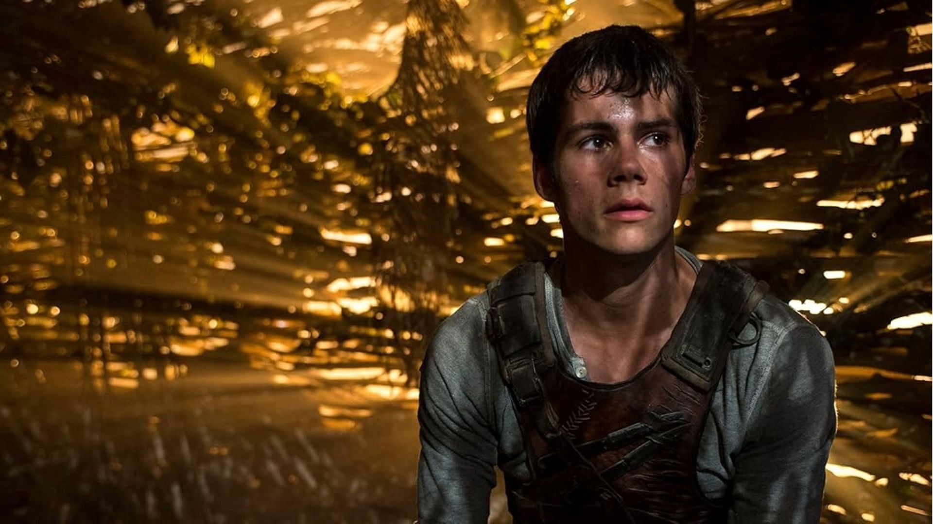 A still from The Maze Runner (Image via Prime Video)