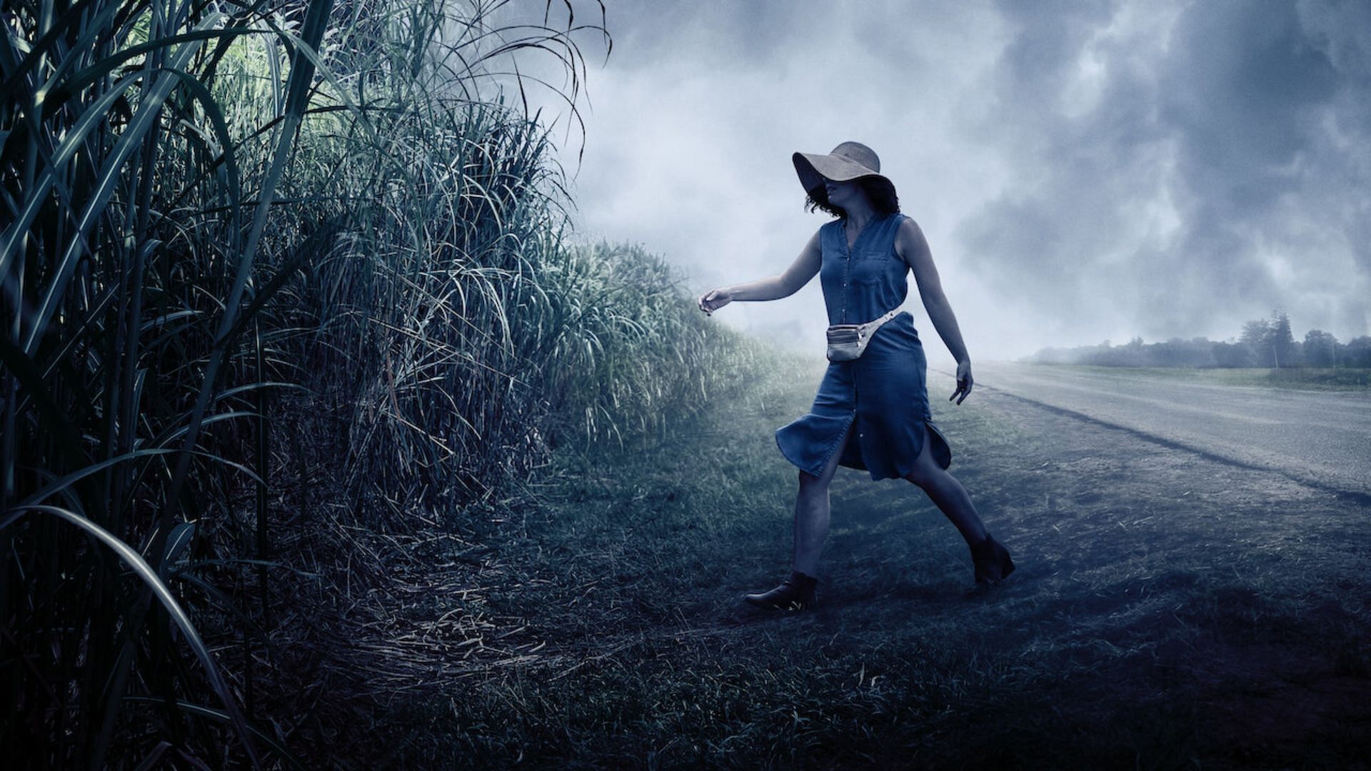 Still from In the Tall Grass (Image via Netflix)