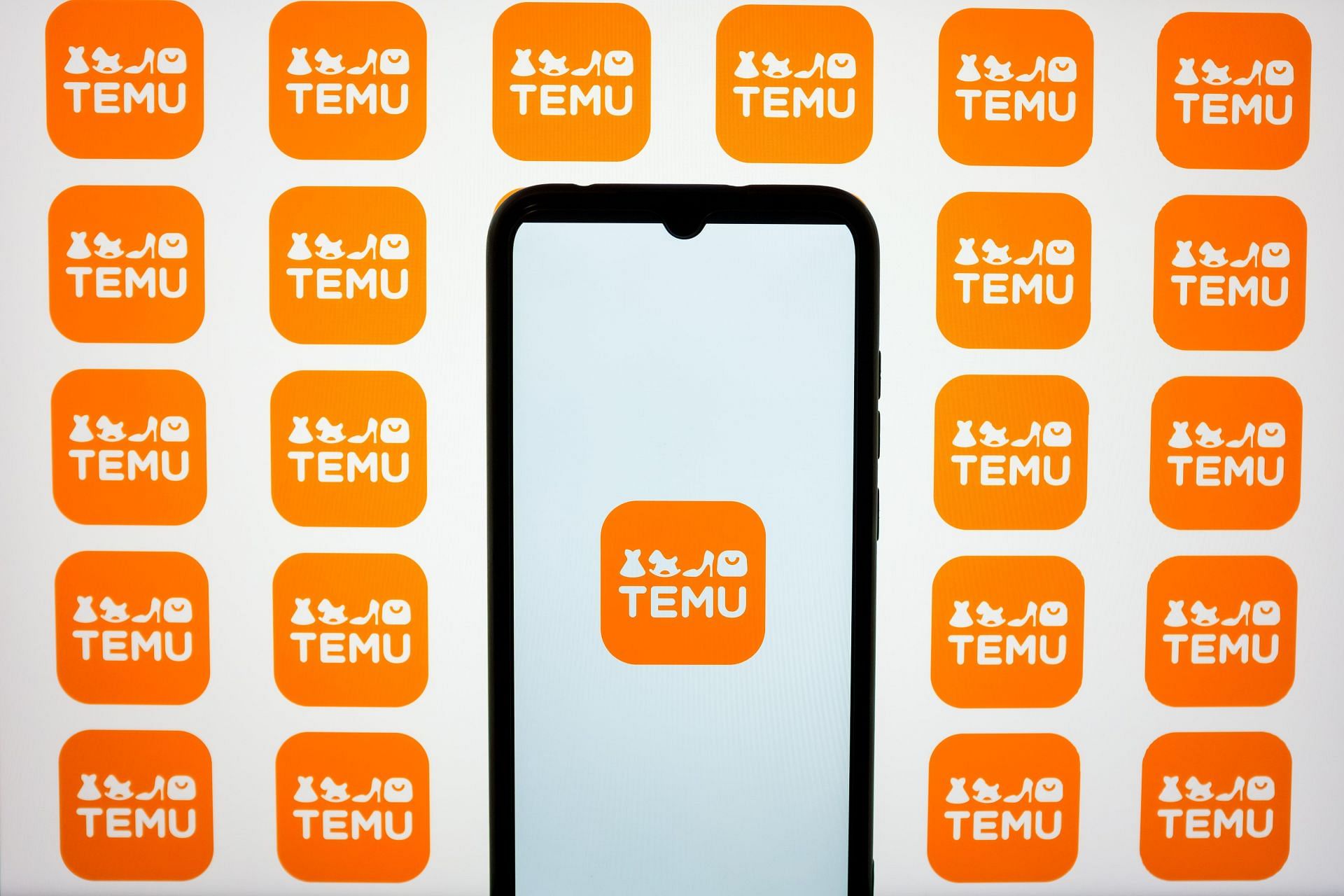 Temu Photo Illustrations - Source: Getty