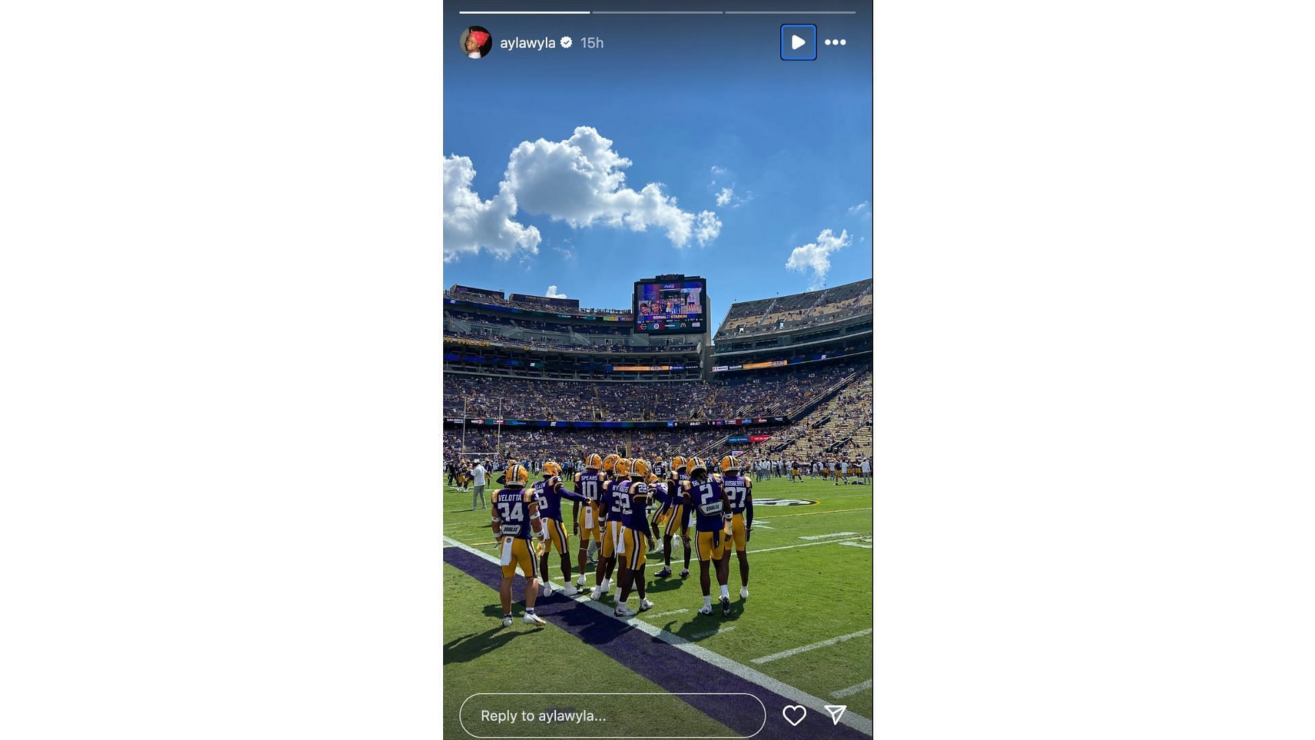 Ayla McDowell watching an LSU Tigers game. (Credits: Instagram/@aylawyla)