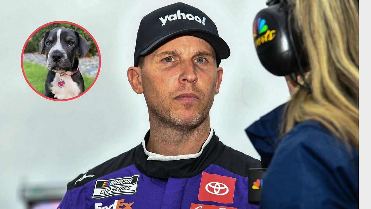 Denny Hamlin (foreground). Credit: Getty Images. Lulu (circle). Credit: (instagram.com/xojordanfish)