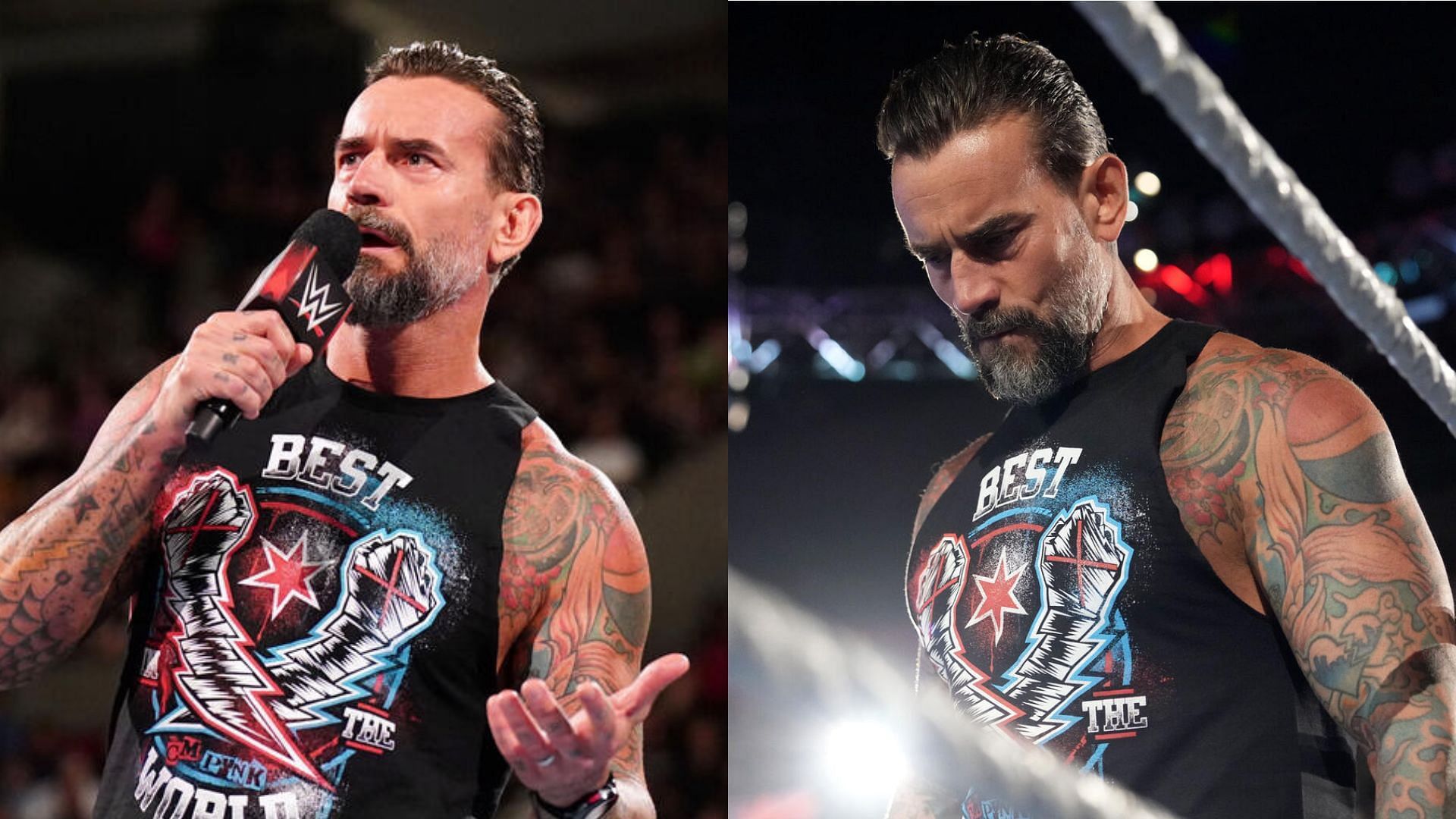 CM Punk (Image Credits: WWE.com)