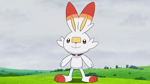 Scorbunny anime (Image via TPC)