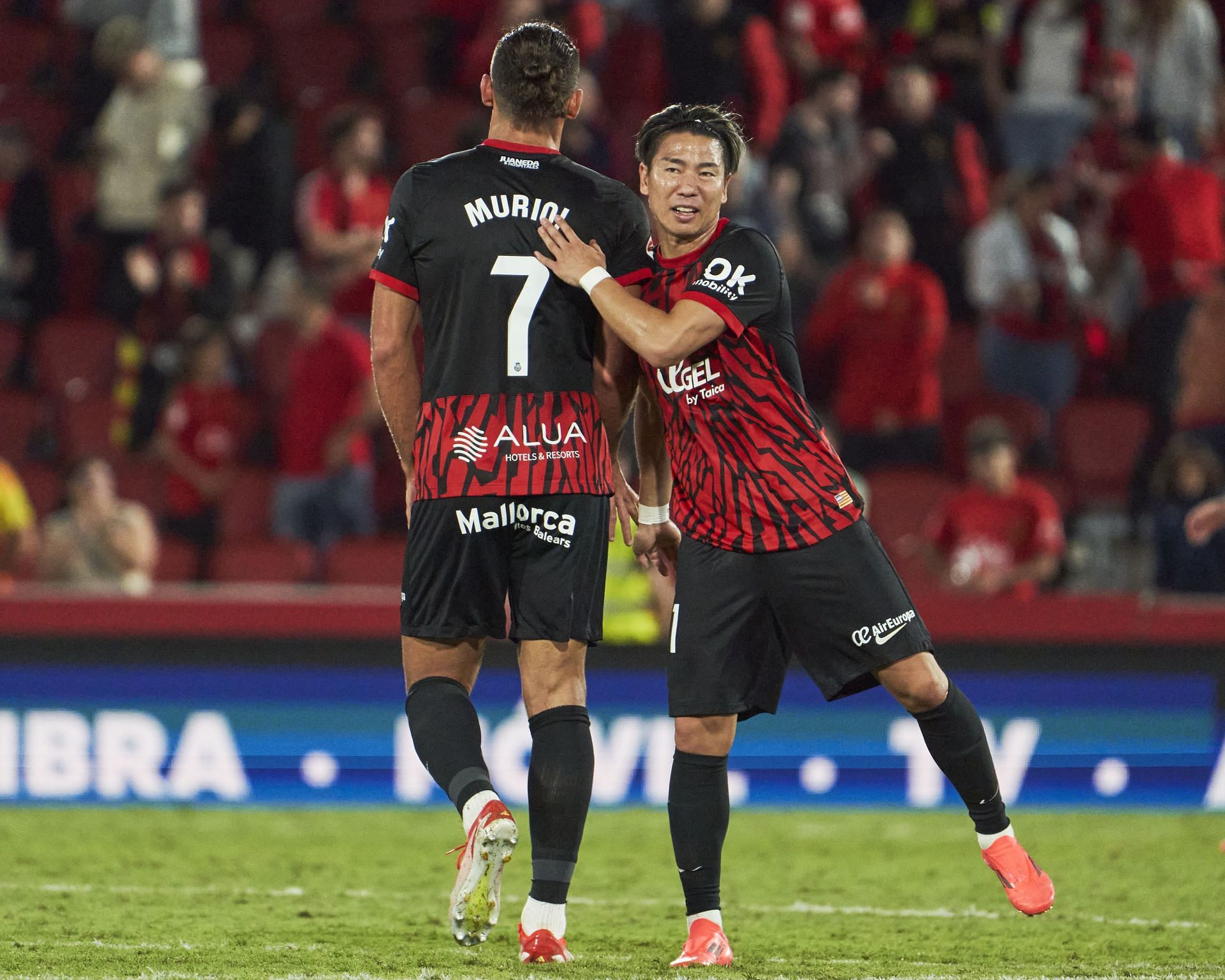 RCD Mallorca v Real Sociedad  - La Liga EA Sports - Source: Getty