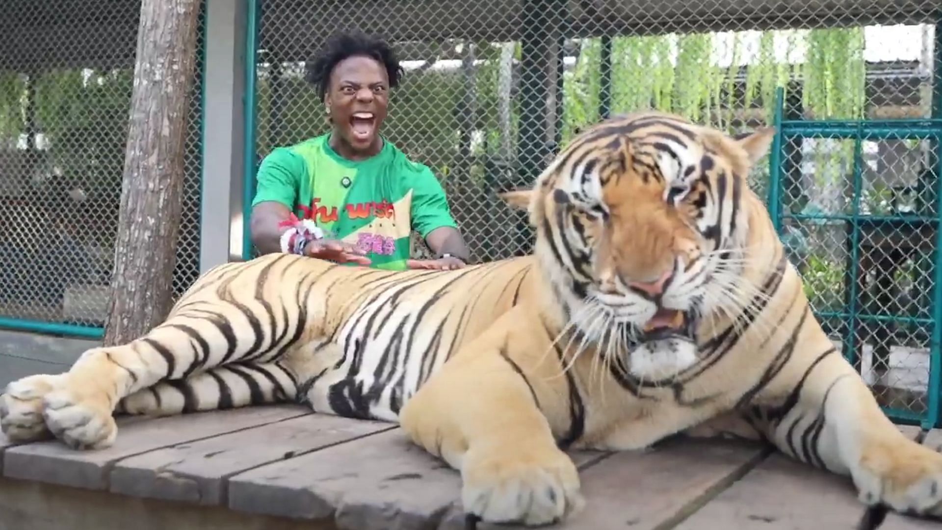 IShowSpeed had an interesting interaction with a tiger in Thailand (Image via IShowSpeed/YouTube)