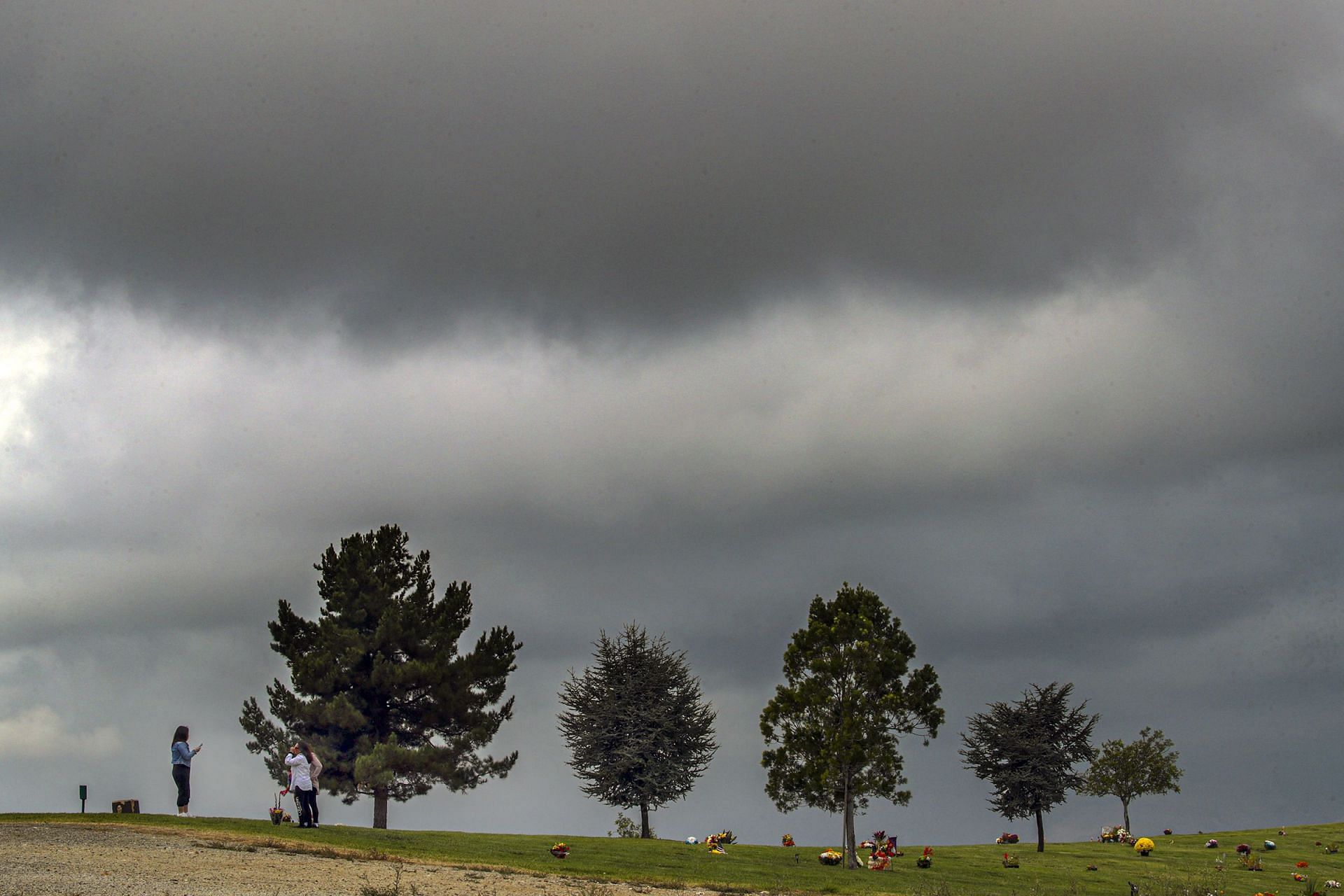 Disney&#039;s remains are scattered in Forest Lawn Memorial Park (Image via Getty)