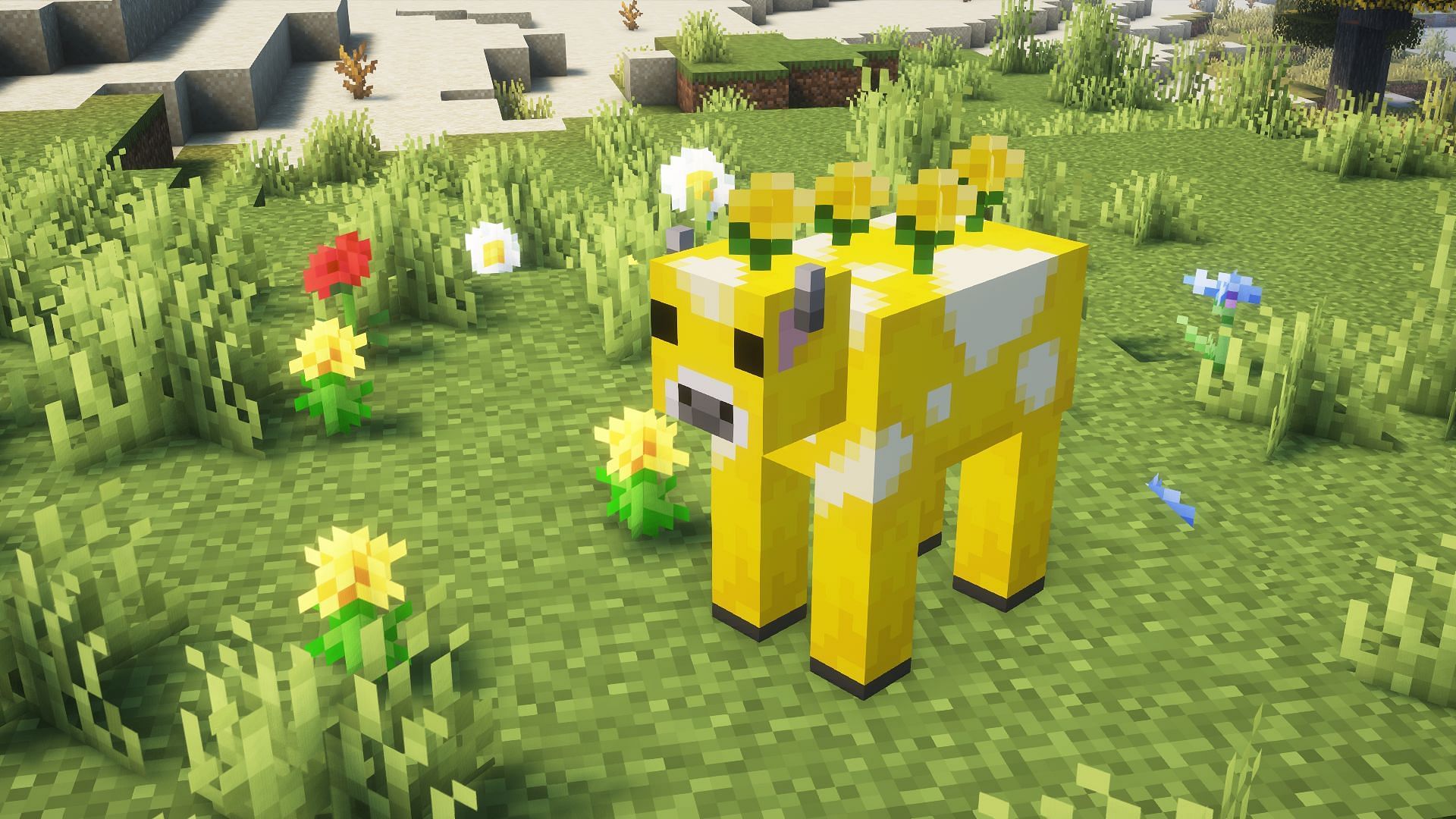 A moobloom near flowers in plains (Image via Mojang)