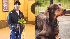 Was Jungkook’s dog’s Instagram account hacked? BTS idol's alleged NewJeans' support post explained