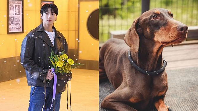 Was Jungkook’s dog’s Instagram account hacked? BTS idol's alleged NewJeans' support post explained