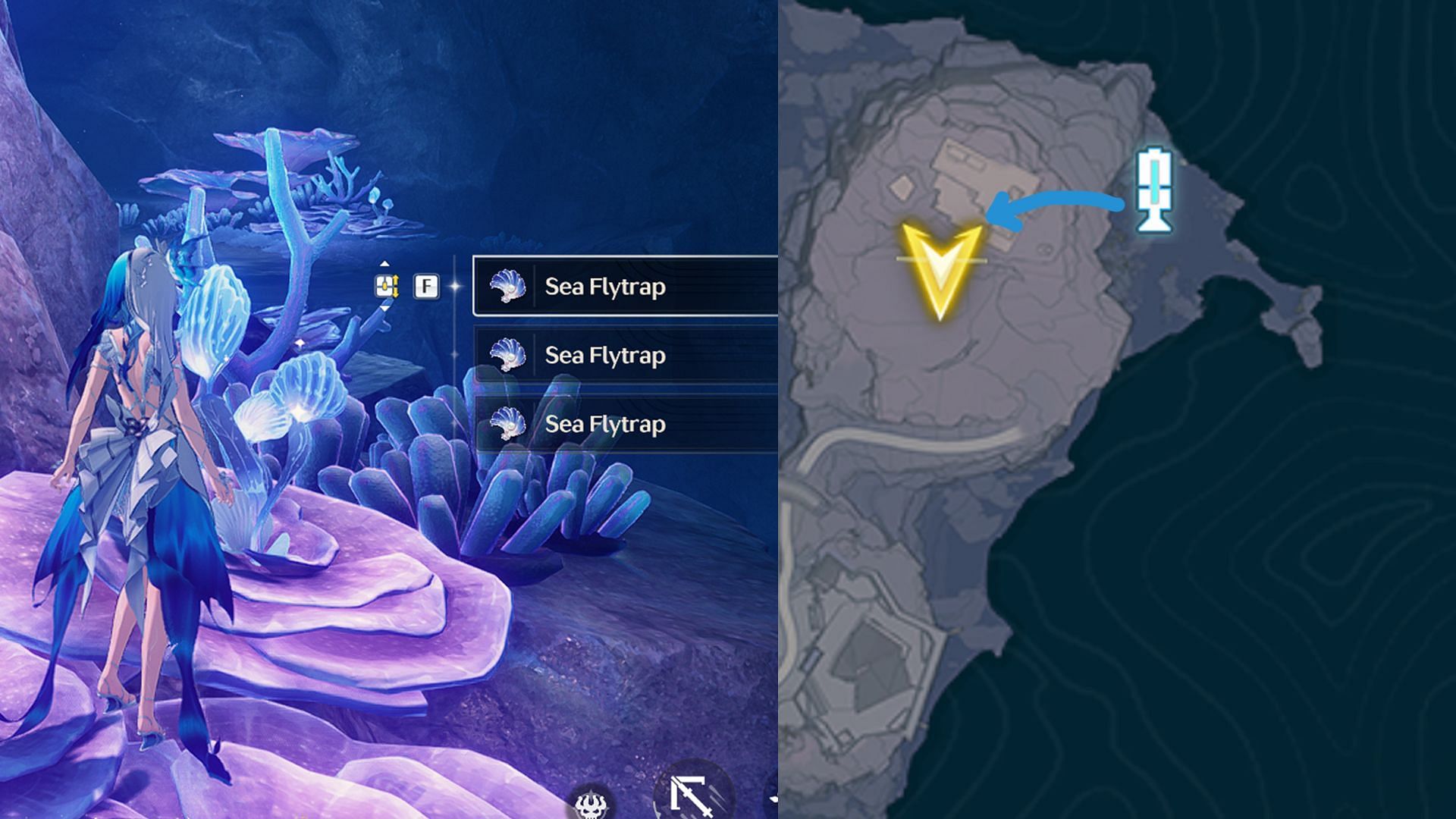 Sea Flytrap location #1 inside a cave (Image via Kuro Games)