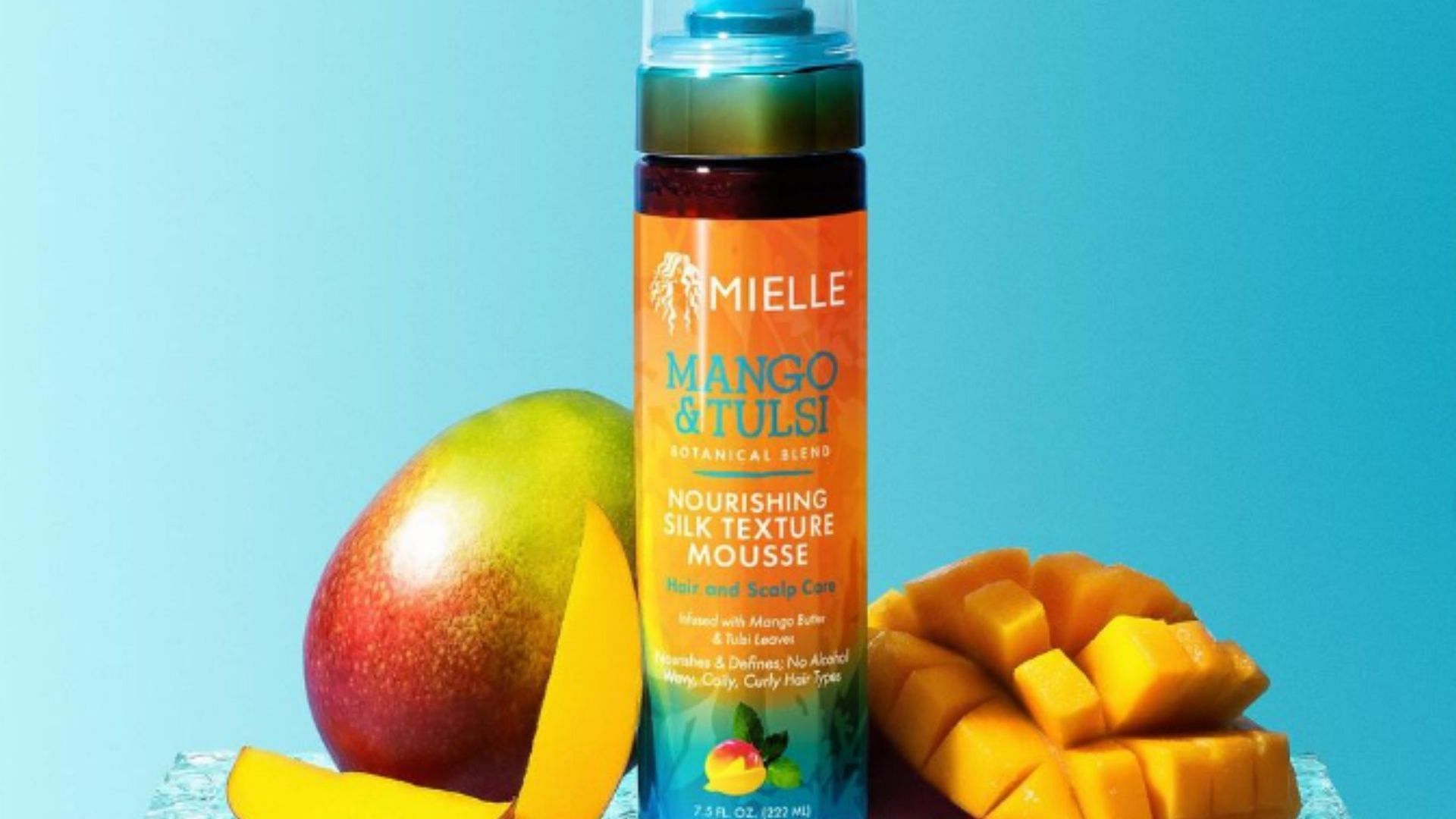 Mielle Organics allegedly gets sued after not disclosing cancer-causing chemical in their product (Image via mielleorganics/Instagram)